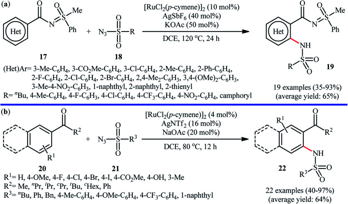 Scheme 6