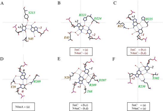 Figure 5.