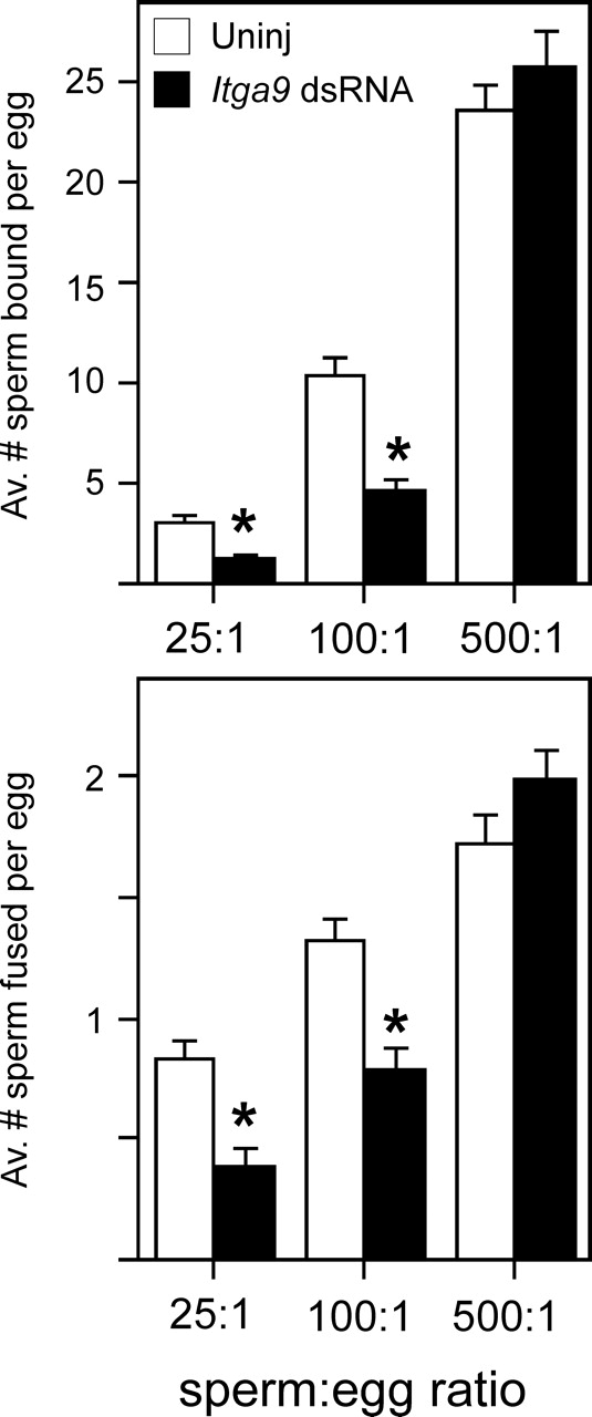 FIG. 5.