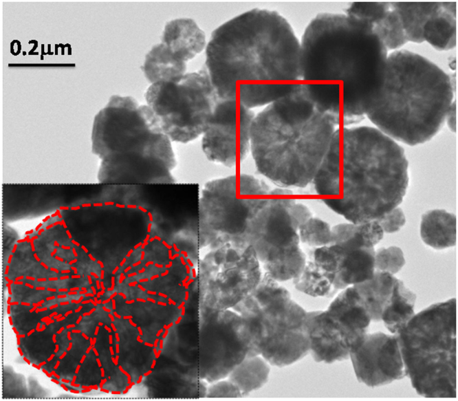 Figure 3