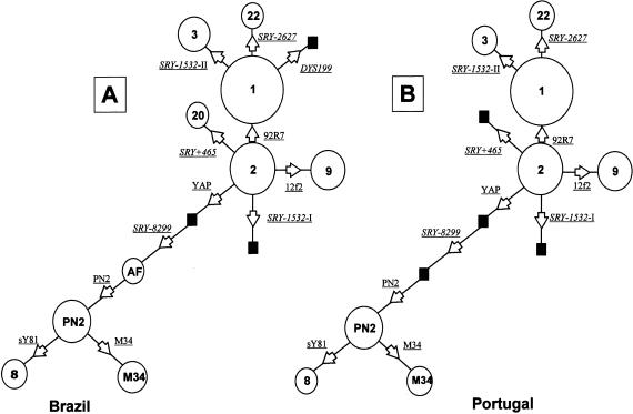 Figure  3