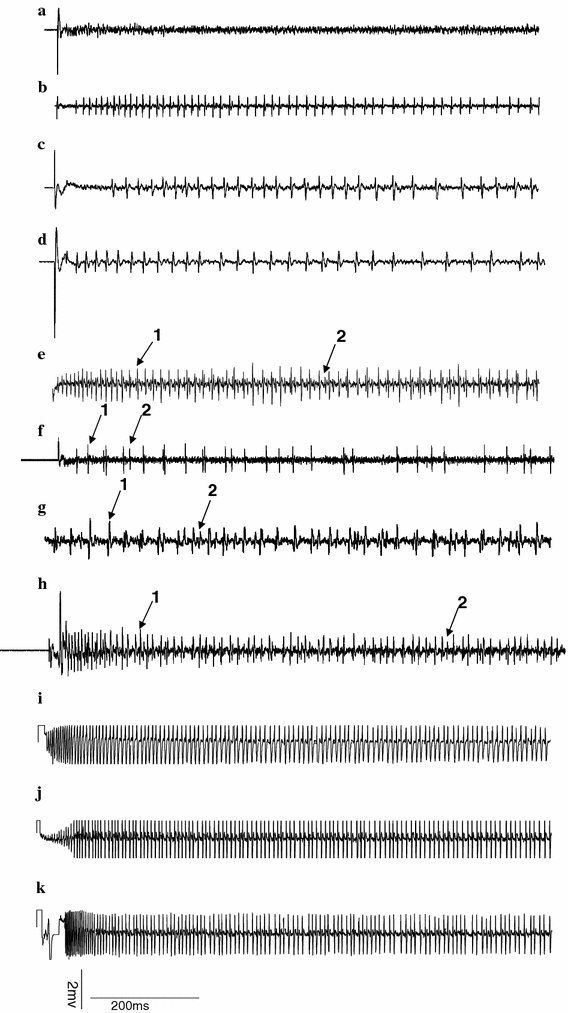 Fig. 4