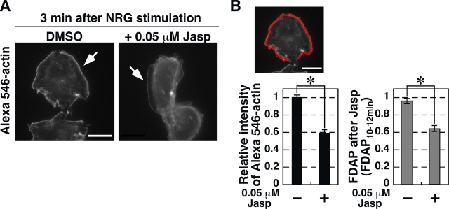 Figure 9.