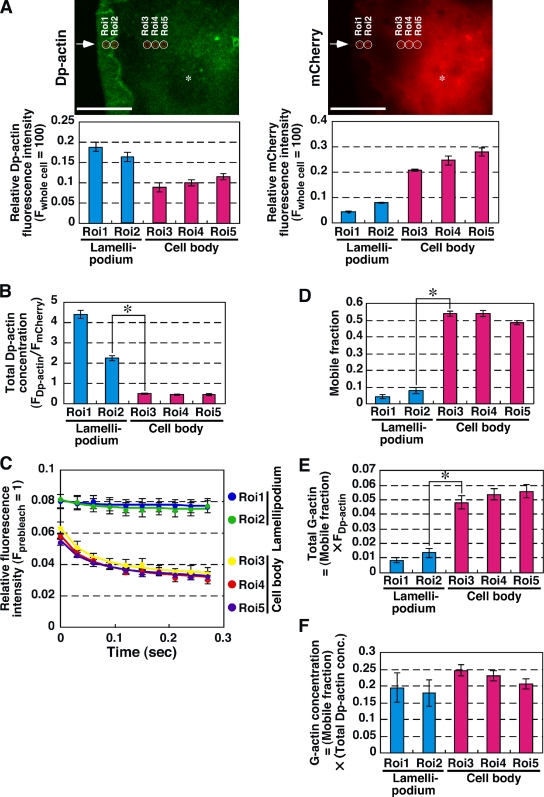 Figure 10.