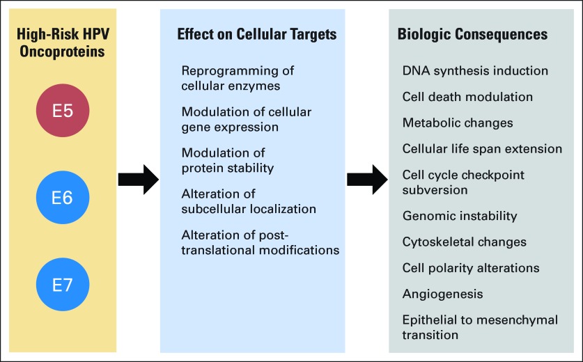 Fig 3.