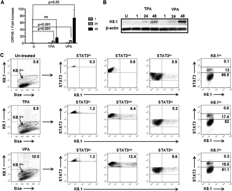 FIG 1