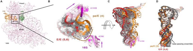 Figure 6.