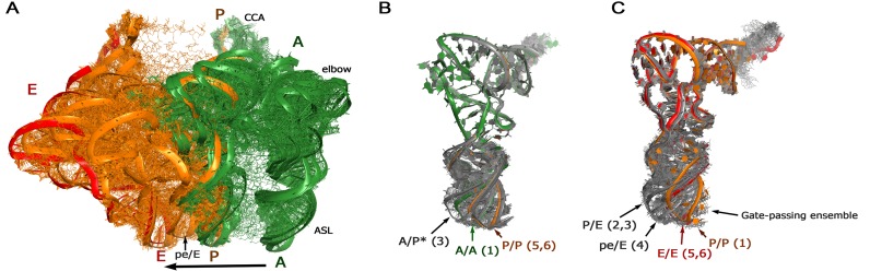 Figure 5.