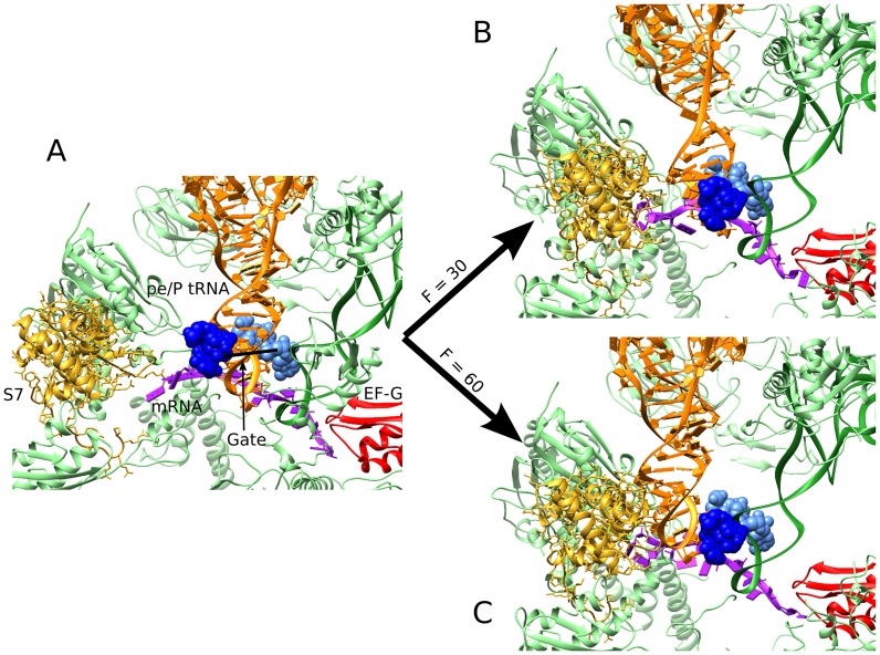 Figure 7.