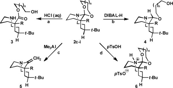 Scheme 3