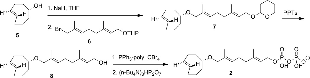 Scheme 1