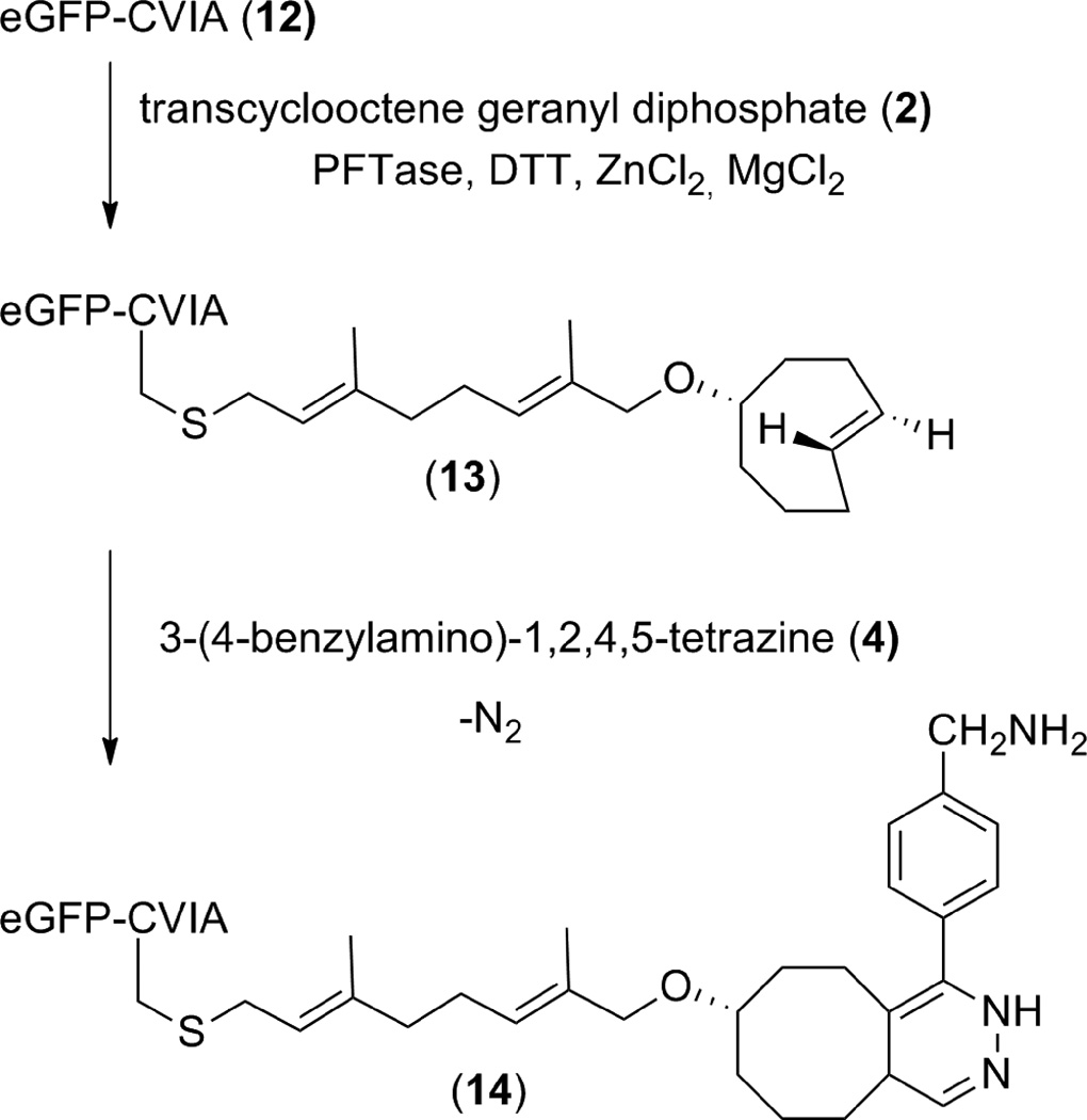 Scheme 3