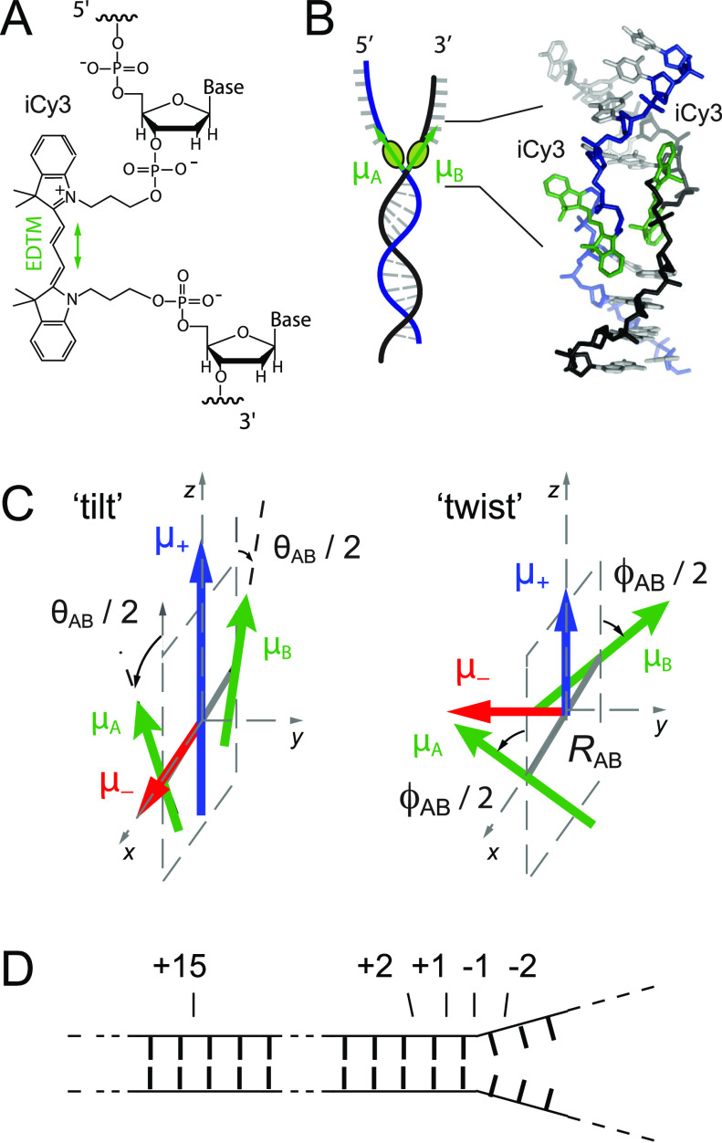 FIG. 1.