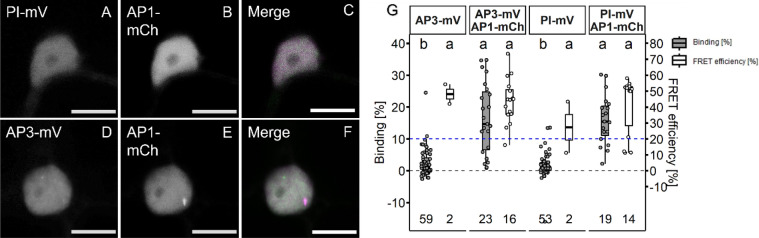 Fig. 9