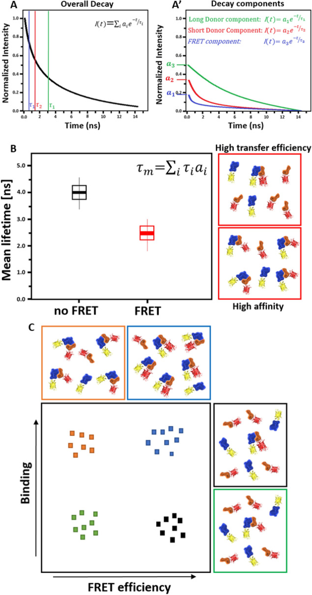 Fig. 2