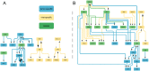 Figure 5: