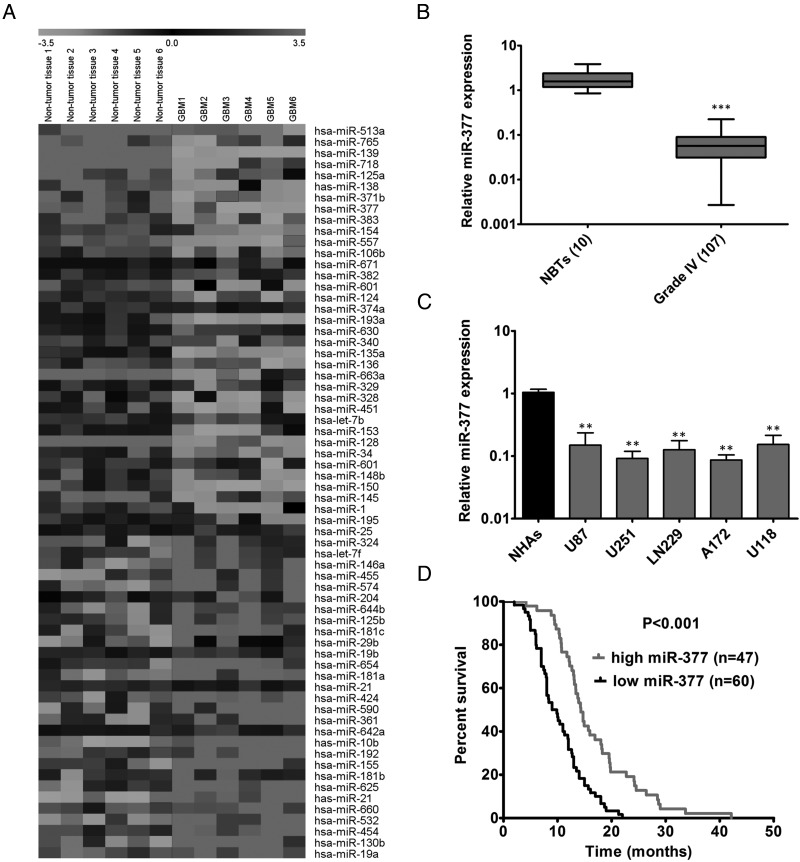 Fig. 1.