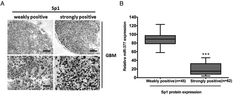 Fig. 8.