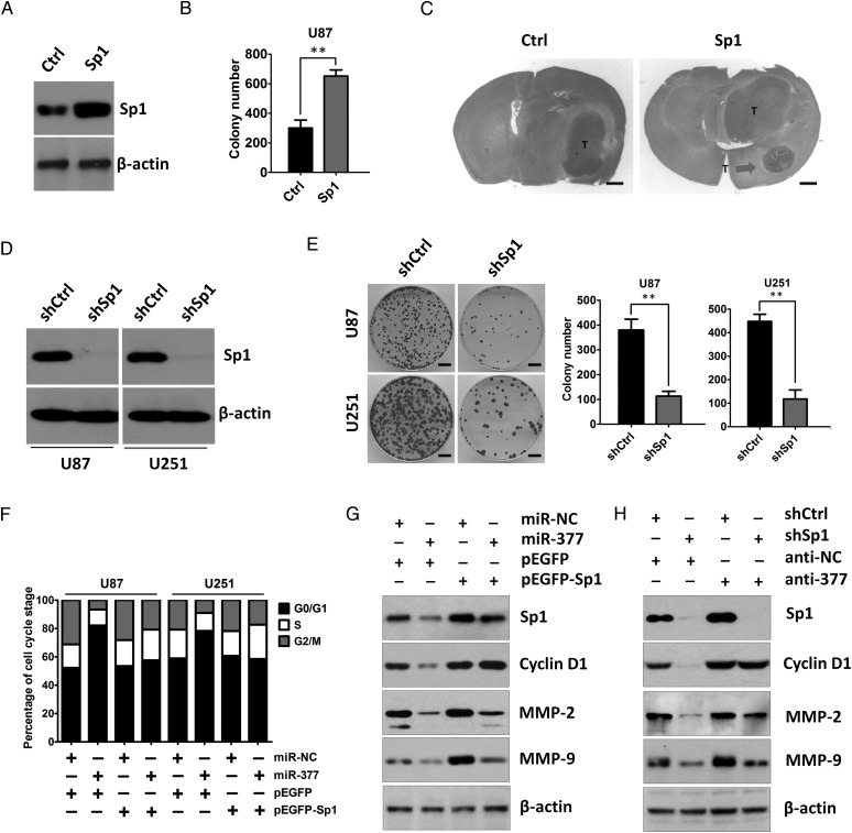 Fig. 6.