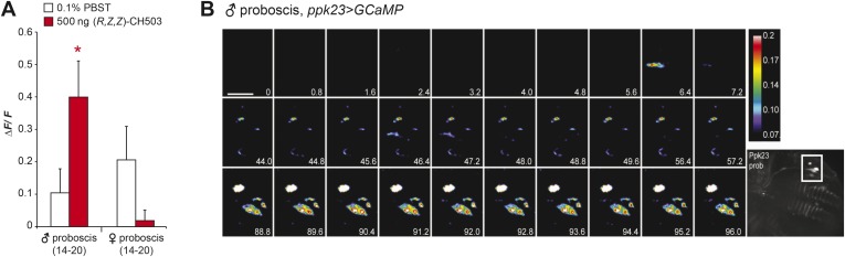 Figure 3—figure supplement 4.