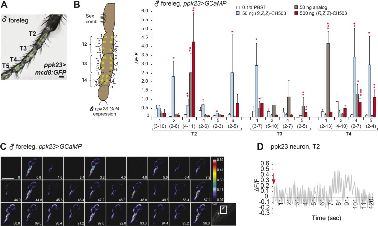 Figure 3—figure supplement 5.