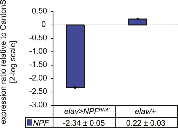 Figure 4—figure supplement 4.