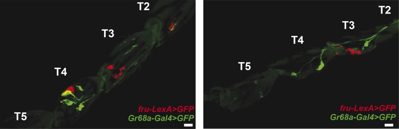 Figure 3—figure supplement 6.