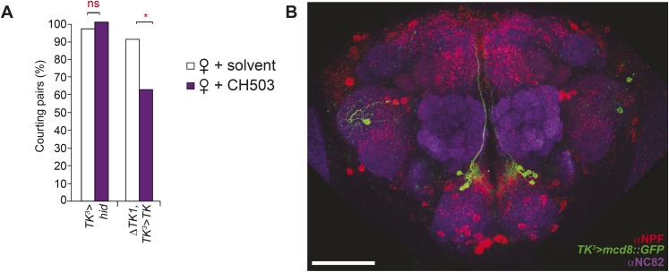 Figure 6—figure supplement 1.