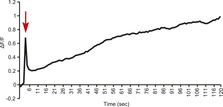 Figure 3—figure supplement 1.