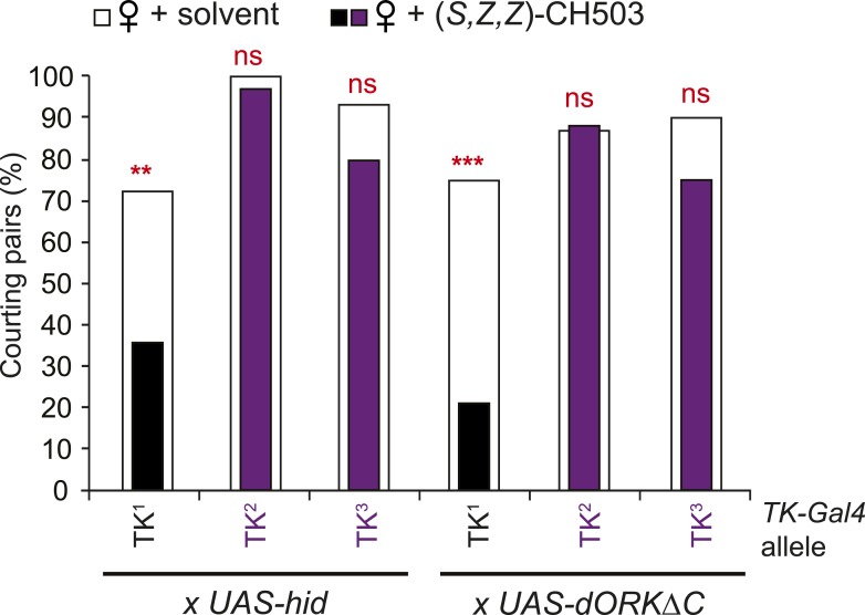 Figure 5—figure supplement 1.