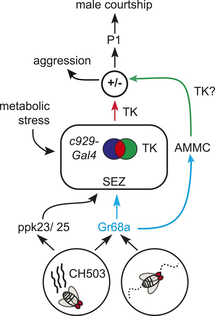 Figure 7.