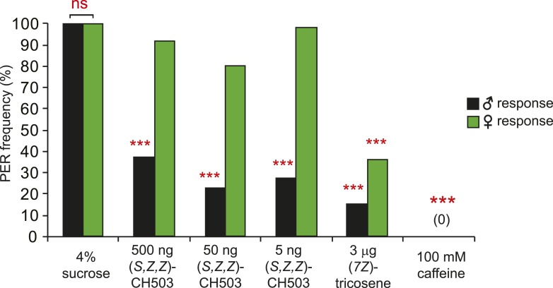 Figure 2—figure supplement 1.