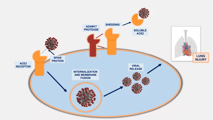 Figure 2