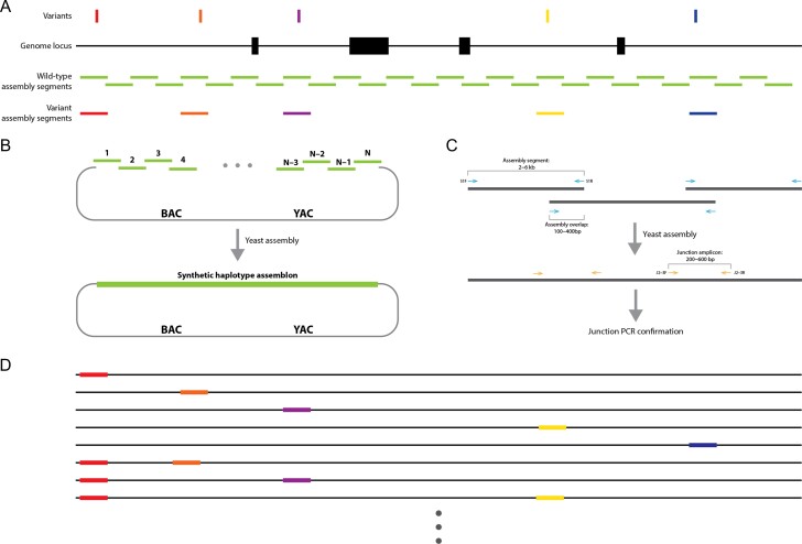 Figure 3.