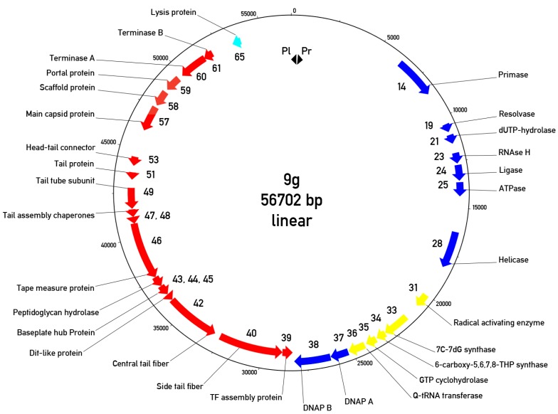 Figure 7