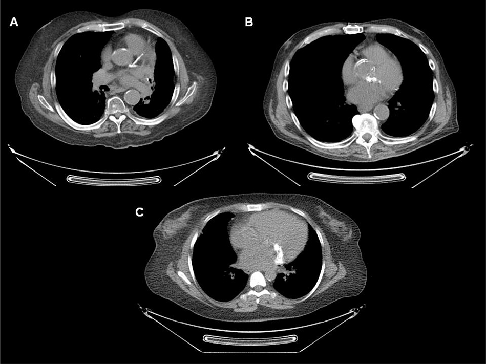 Figure 2.