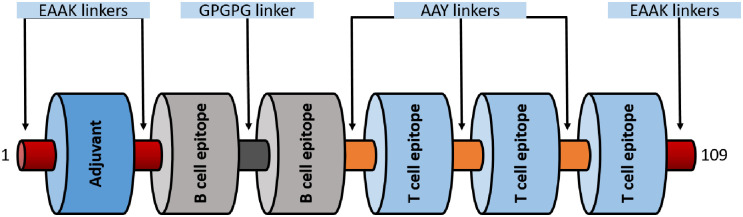 Fig 6