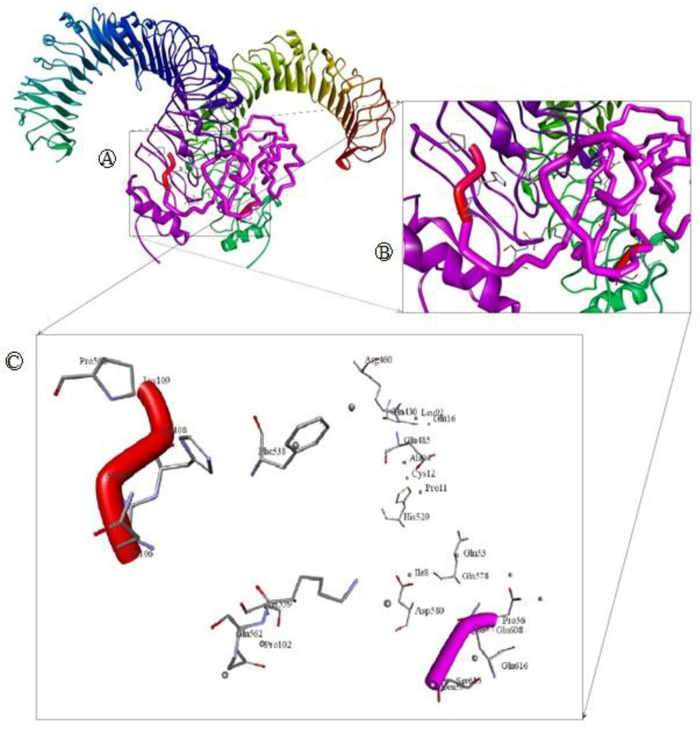 Fig 9