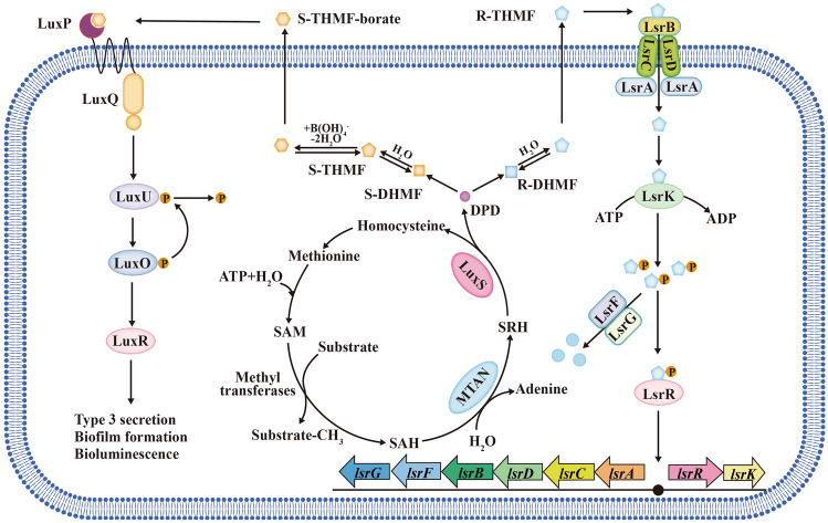 Fig. 3