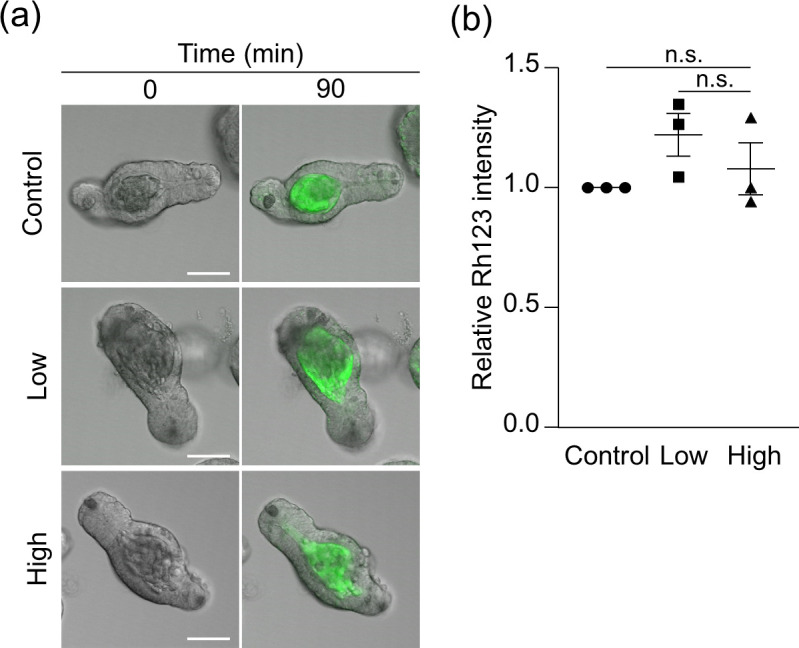 Fig 3