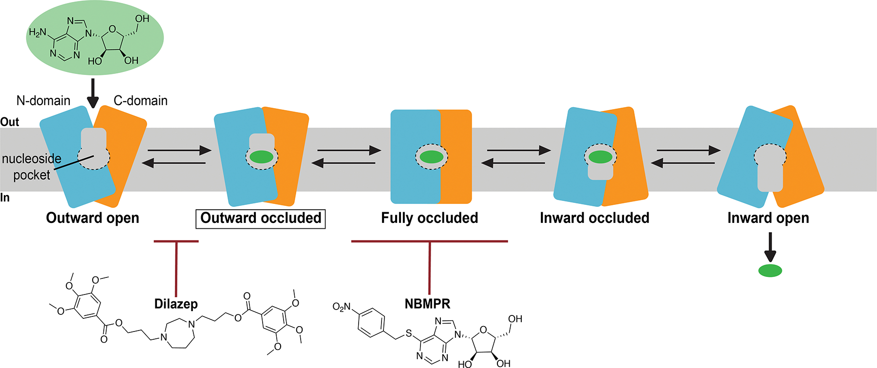 Figure 11