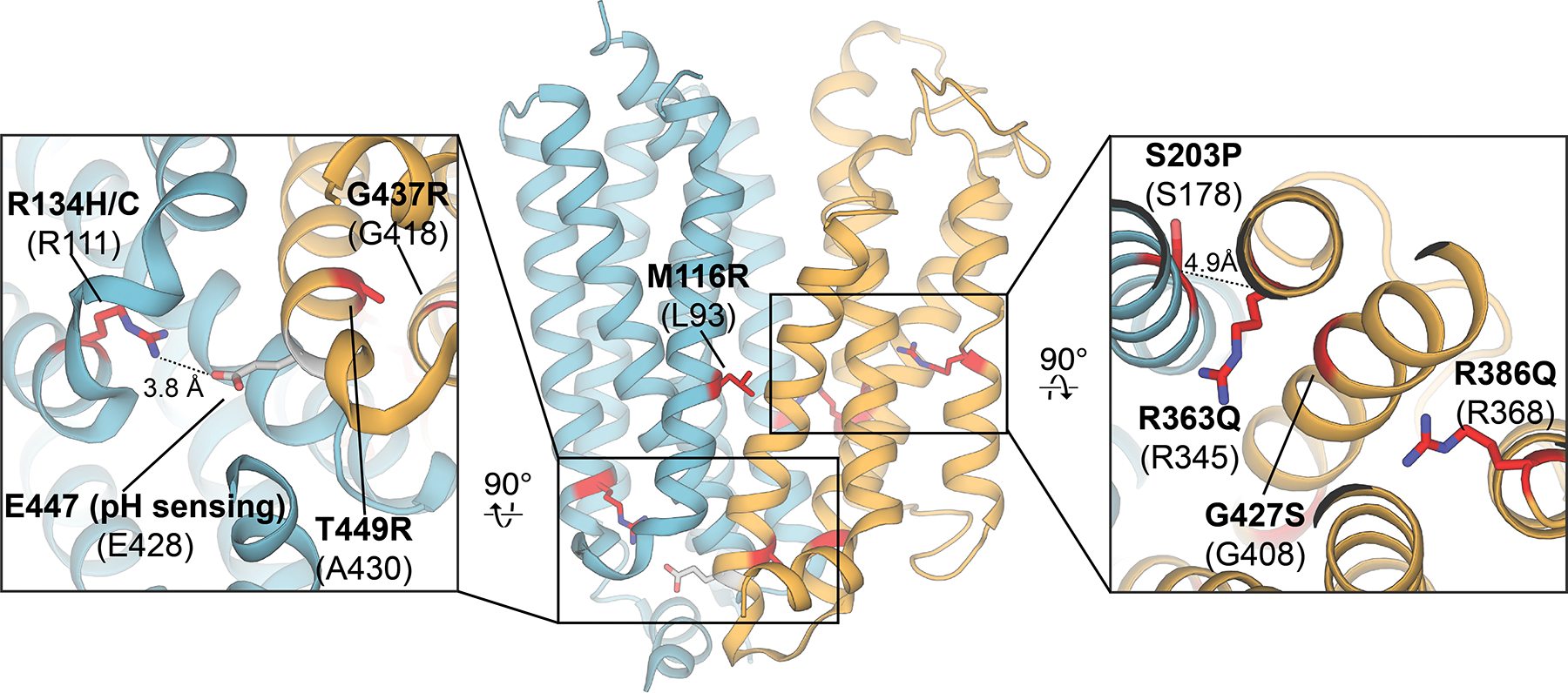 Figure 13