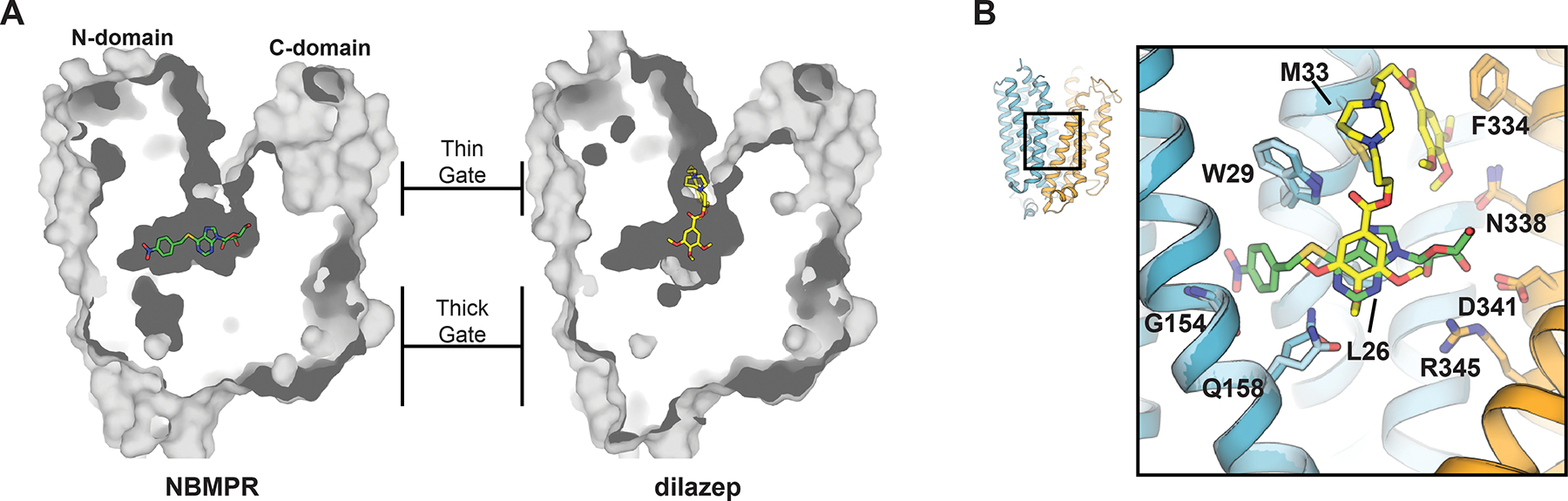 Figure 10