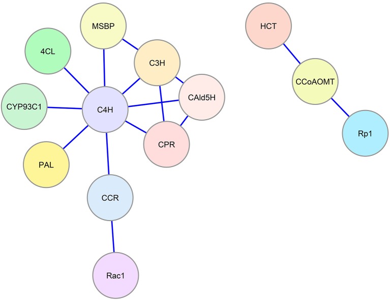 Figure 2