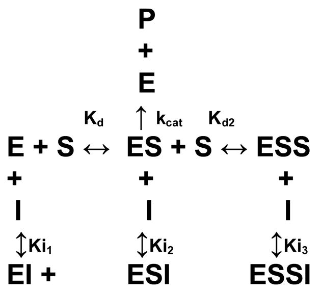 Scheme 2