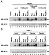 FIG. 6