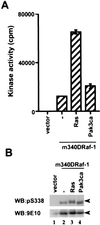 FIG. 9