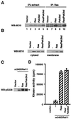 FIG. 10