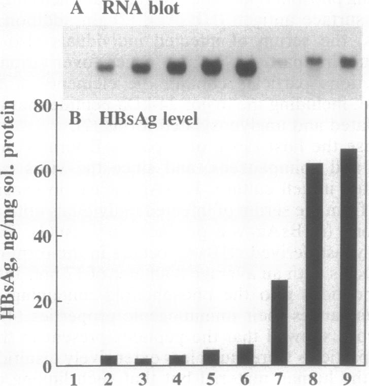 graphic file with name pnas01098-0107-a.jpg