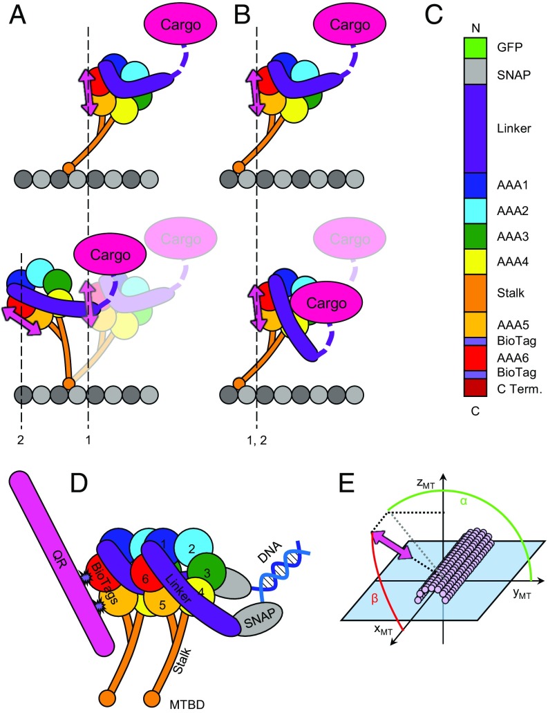 Fig. 1.